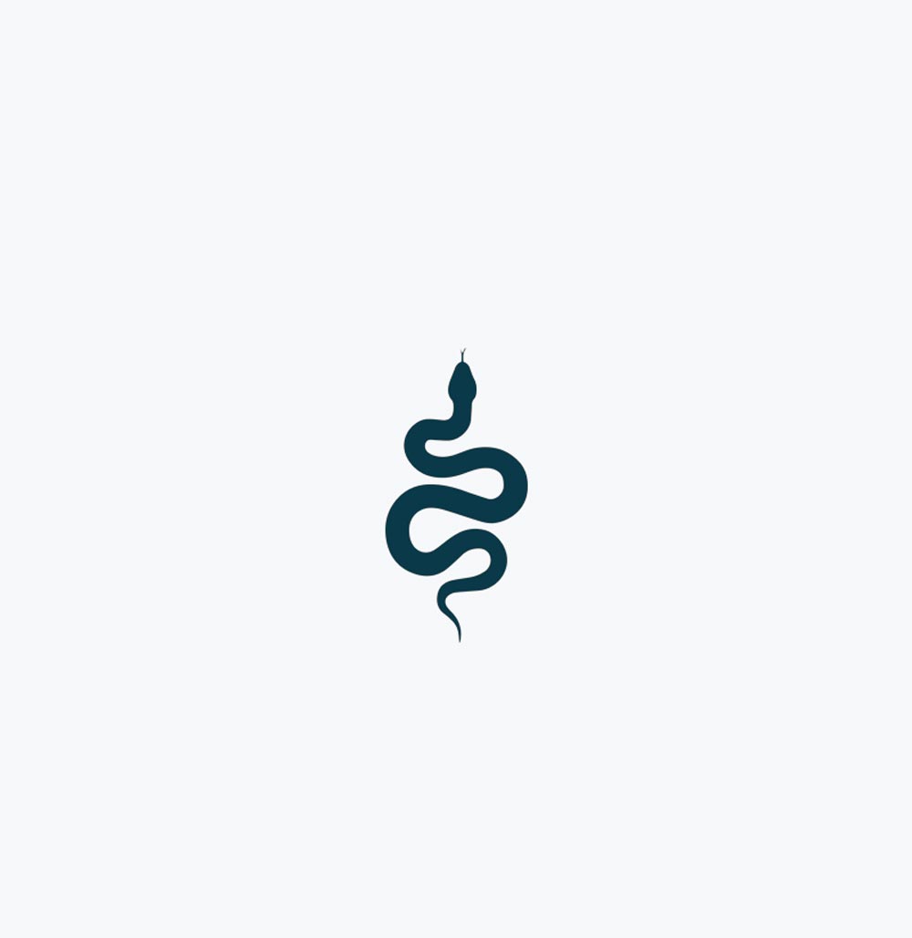 Tiny Snake | Semi-Permanent Tattoo - Not a Tattoo