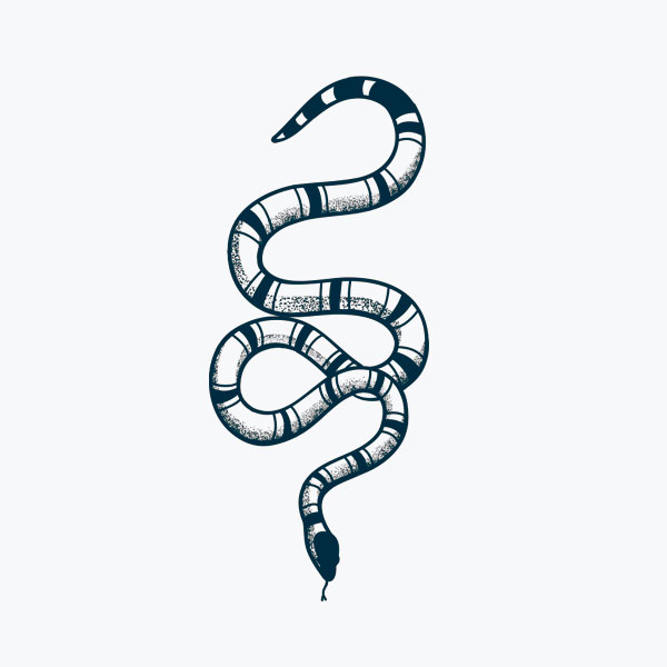 Snake-Tattoo | Artist Hue